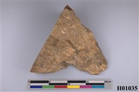 藏品(貝類化石群)的圖片